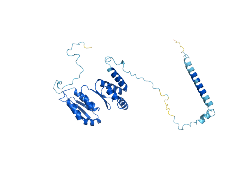 AlphaFold predicted structure of KRR1