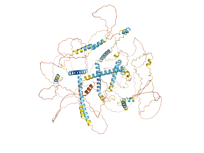 AlphaFold predicted structure of MRC1