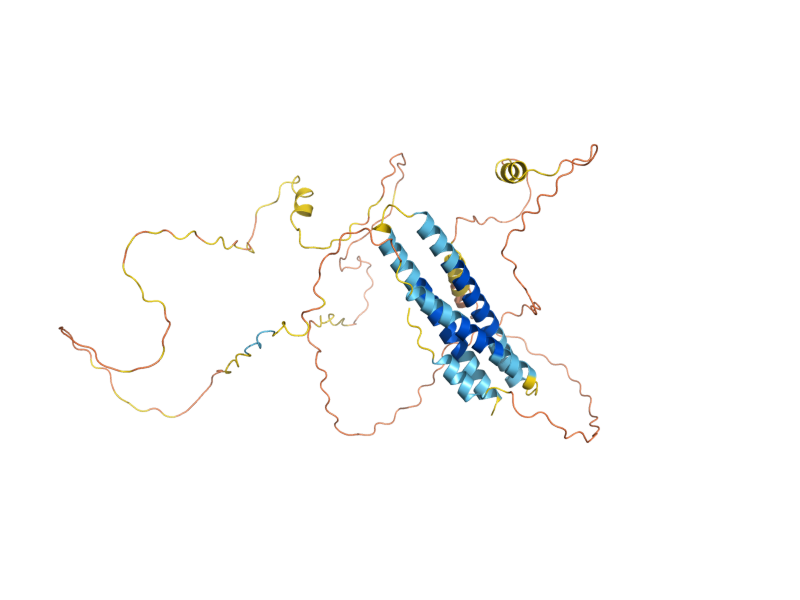 AlphaFold predicted structure of VAC17