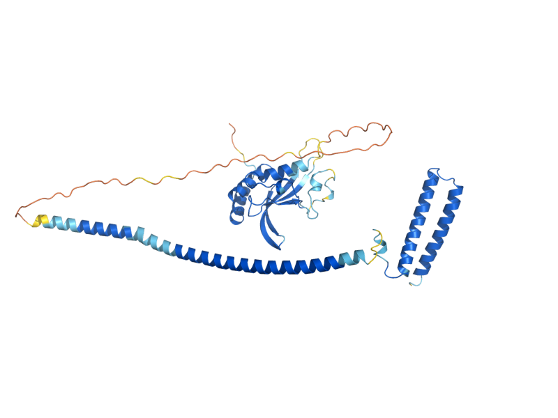 AlphaFold predicted structure of STP22