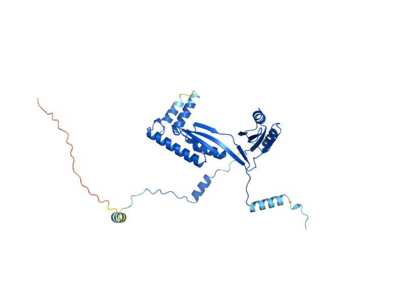 AlphaFold predicted structure of ILV6