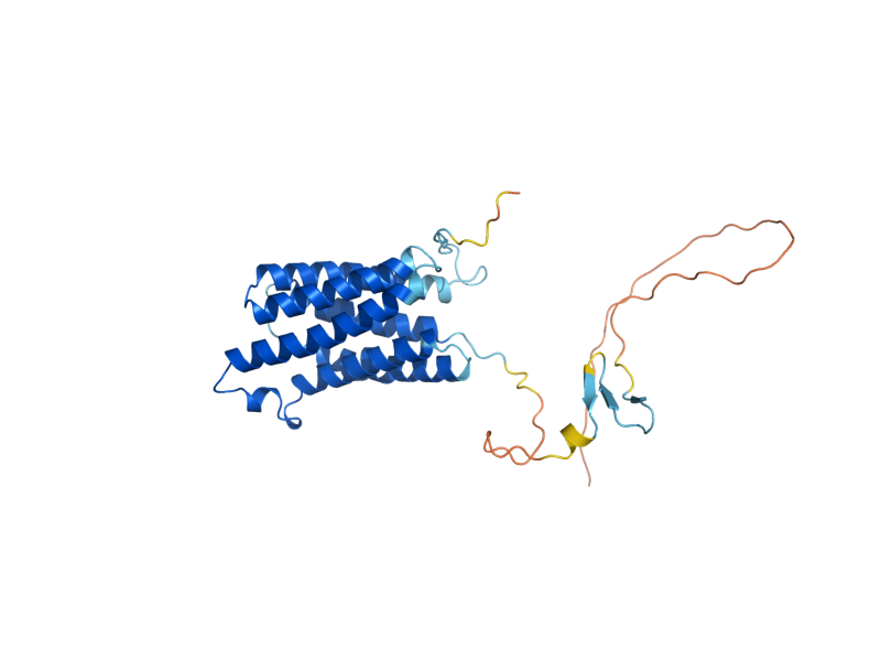 AlphaFold predicted structure of ADY2