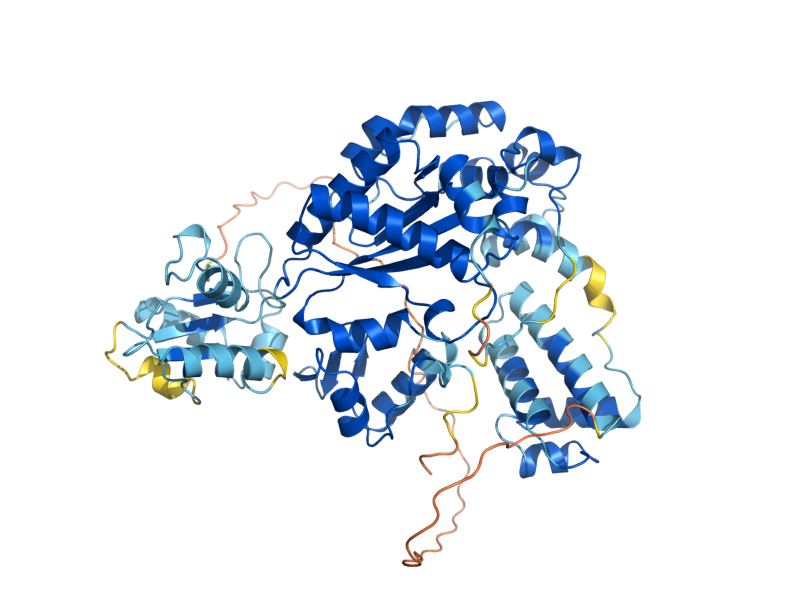 AlphaFold predicted structure of POL4