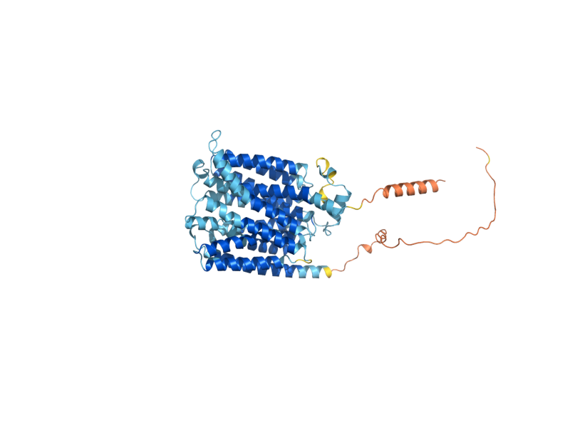 AlphaFold predicted structure of FEN2