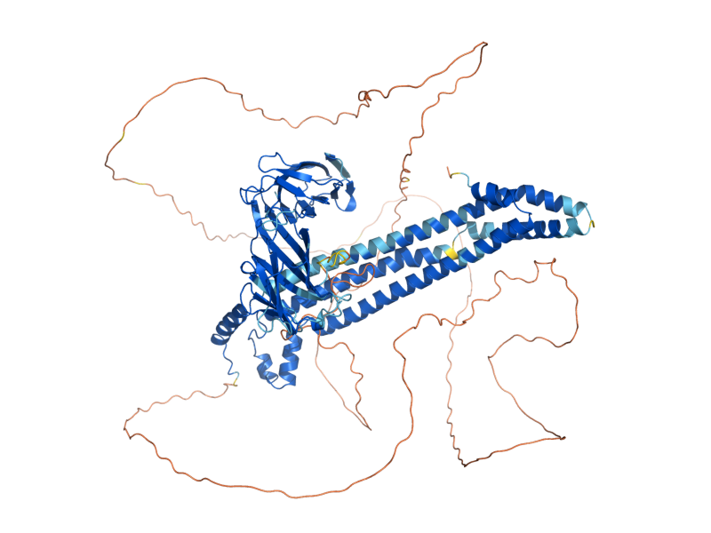 AlphaFold predicted structure of SYP1