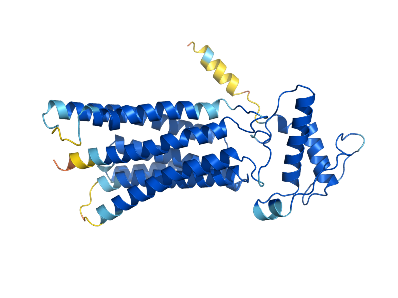 AlphaFold predicted structure of PER1