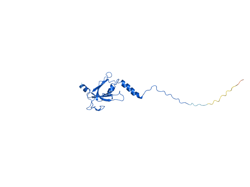 AlphaFold predicted structure of IMG1