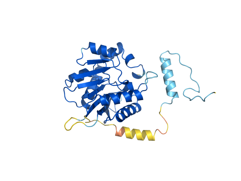 AlphaFold predicted structure of BUD23