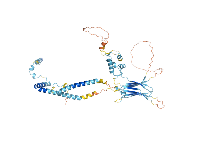 AlphaFold predicted structure of RSC6