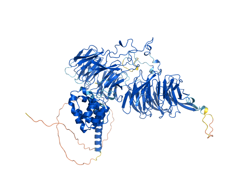 AlphaFold predicted structure of PWP2