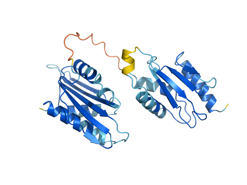 AlphaFold predicted structure of YIH1