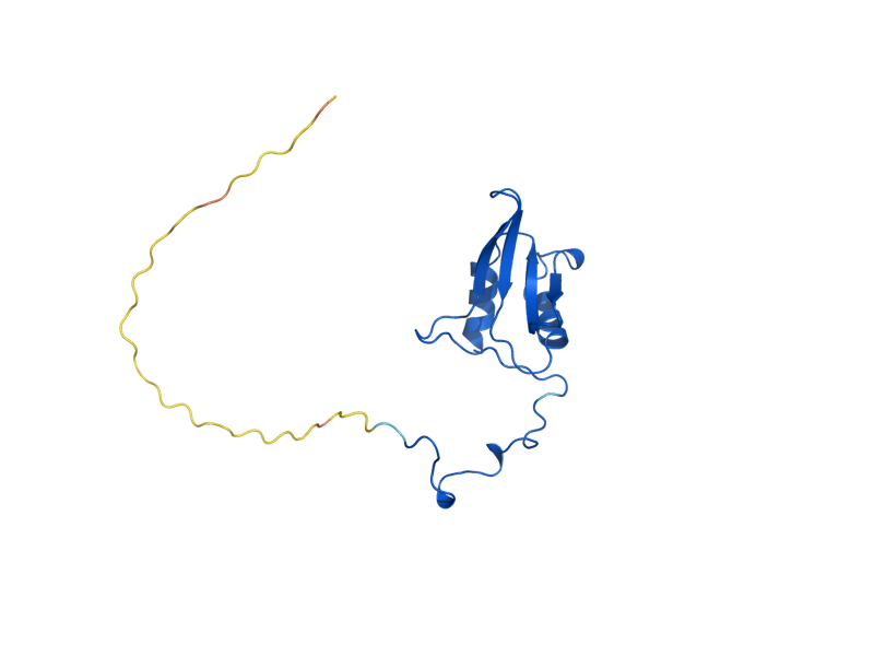 AlphaFold predicted structure of IMG2