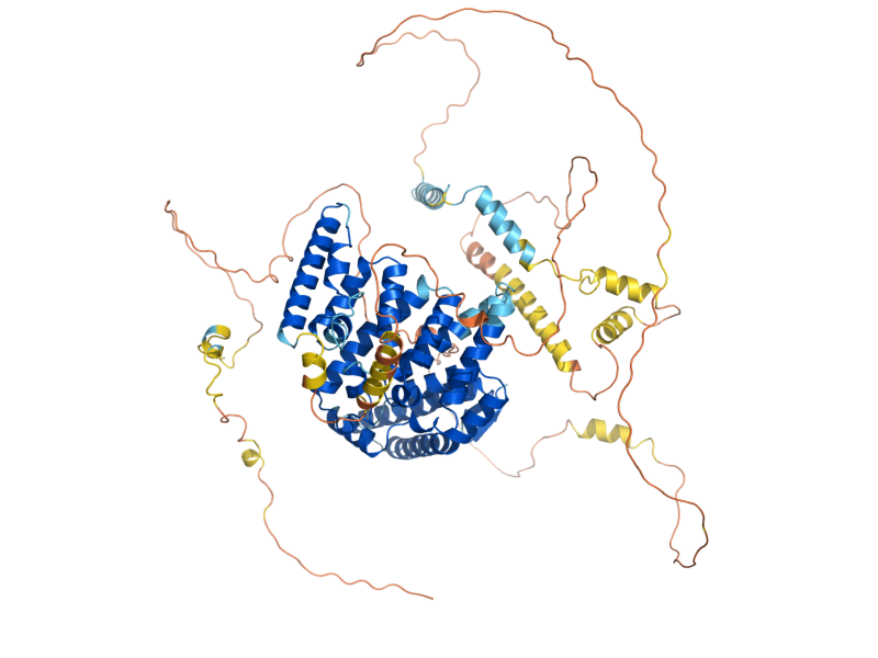 AlphaFold predicted structure of PAT1