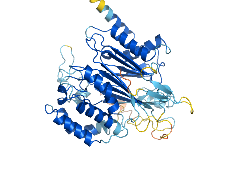 AlphaFold predicted structure of PTC6