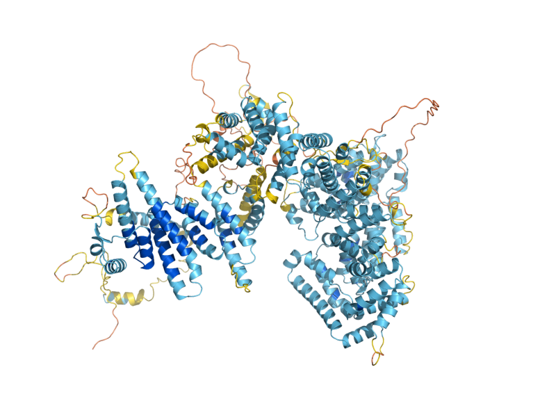 AlphaFold predicted structure of SRB8