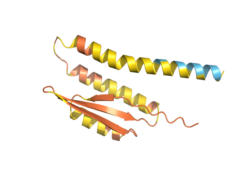 AlphaFold predicted structure of YCR085W