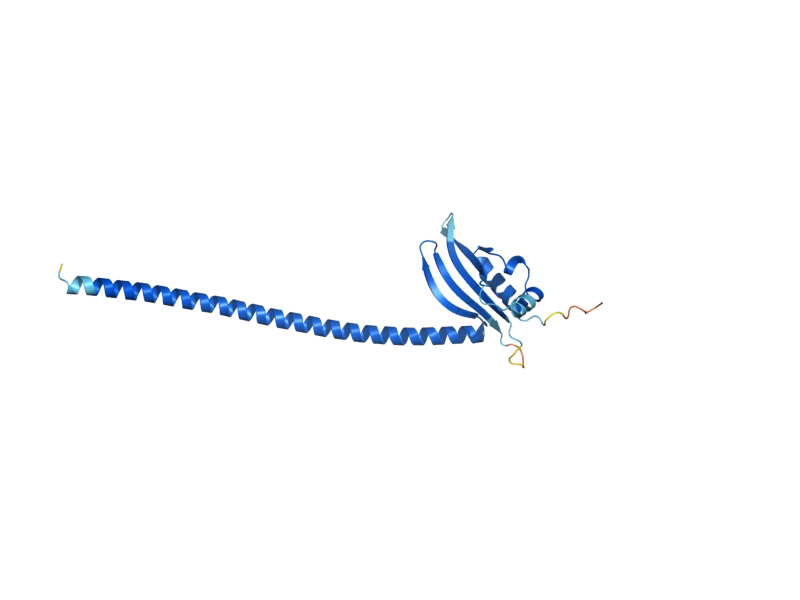 AlphaFold predicted structure of CSM1