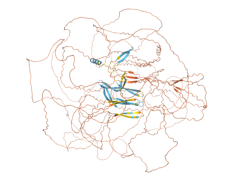 AlphaFold predicted structure of FIG2