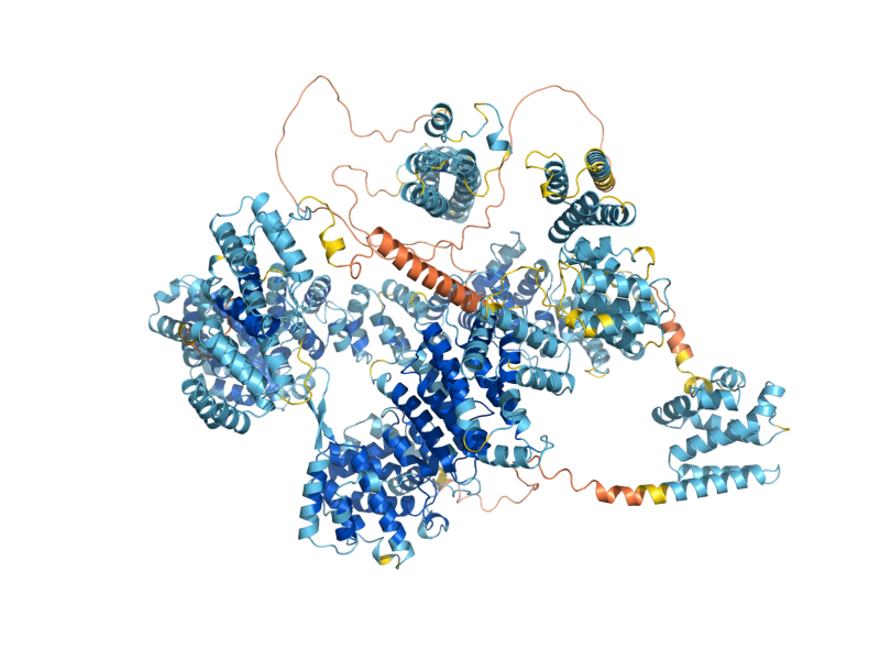 AlphaFold predicted structure of CDC39