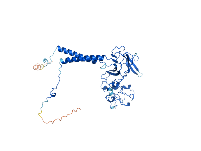 AlphaFold predicted structure of CDC50