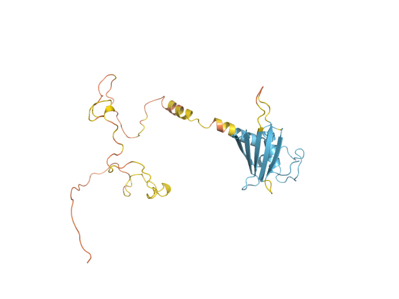 AlphaFold predicted structure of FUB1