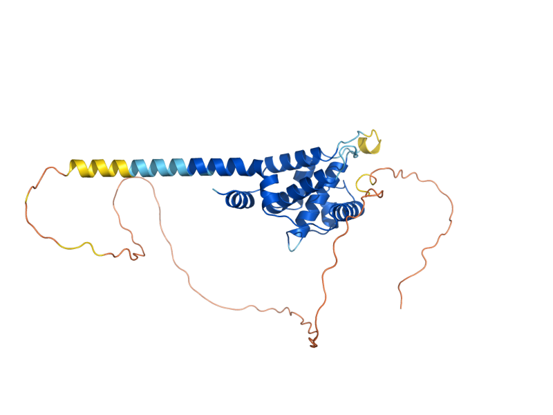AlphaFold predicted structure of PCL2