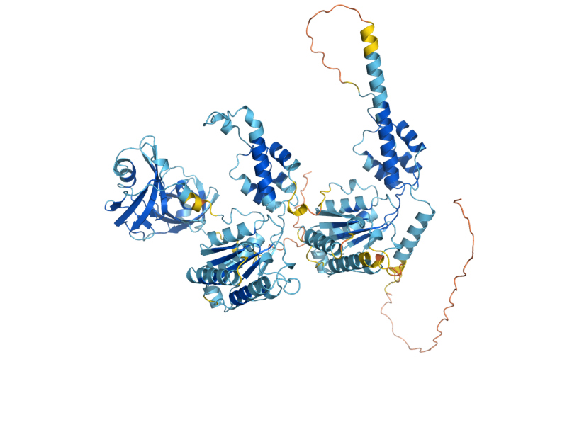 AlphaFold predicted structure of CDC48