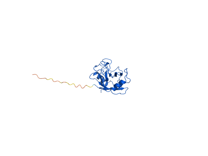 AlphaFold predicted structure of CPR3