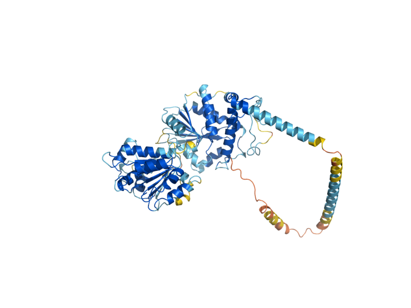 AlphaFold predicted structure of SPB4