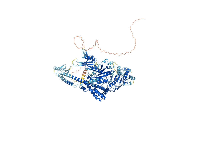 AlphaFold predicted structure of MSH1