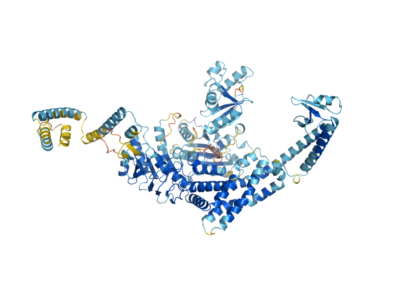 AlphaFold predicted structure of MSH2