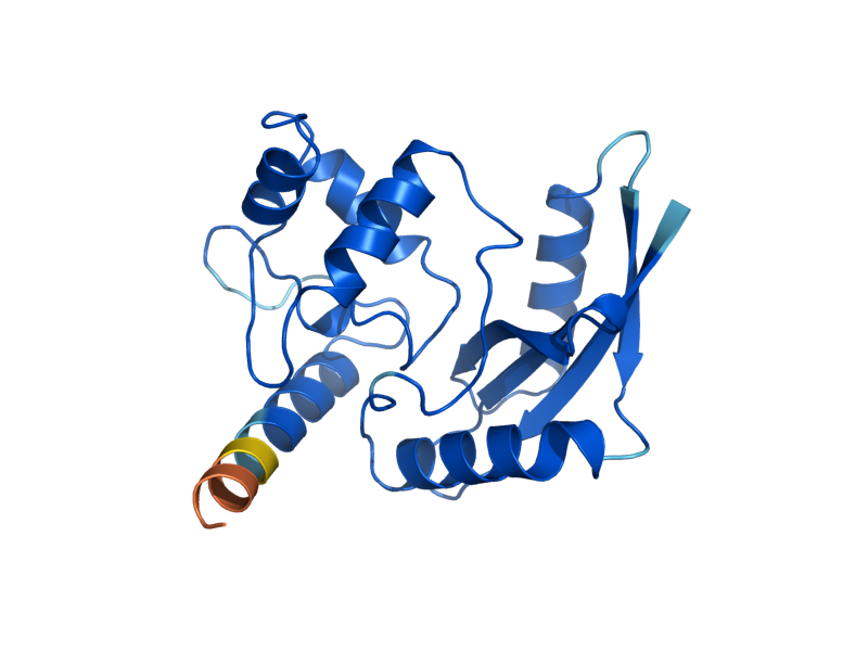 AlphaFold predicted structure of MGT1