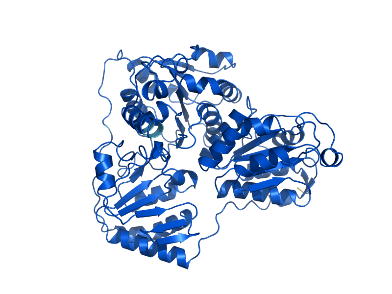 AlphaFold predicted structure of PDC6