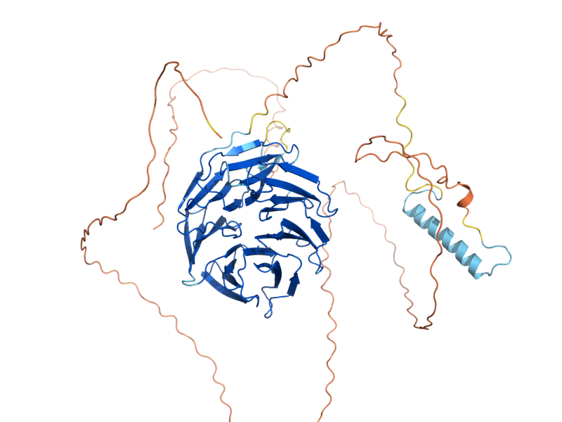 AlphaFold predicted structure of CDC20