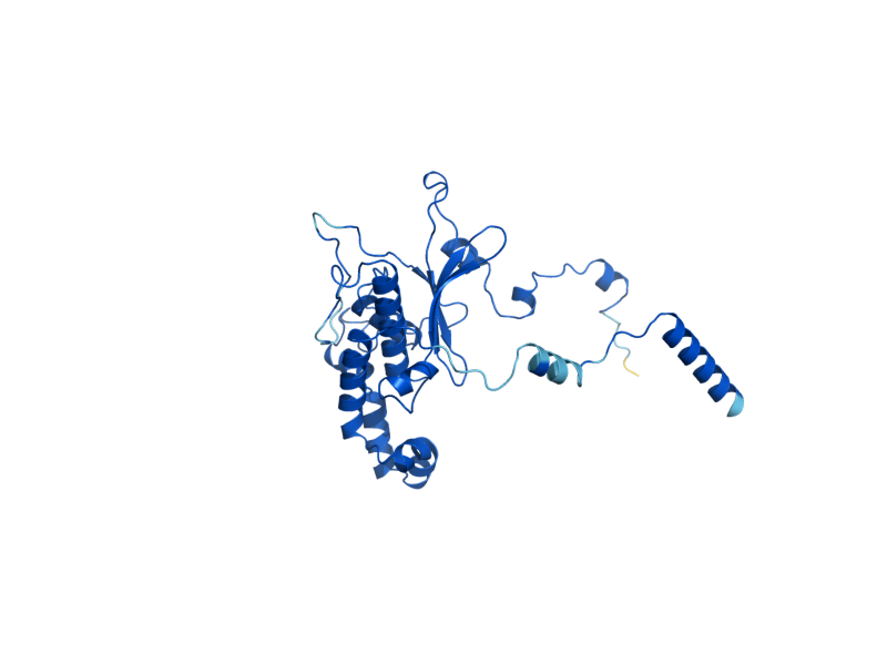 AlphaFold predicted structure of RPL5