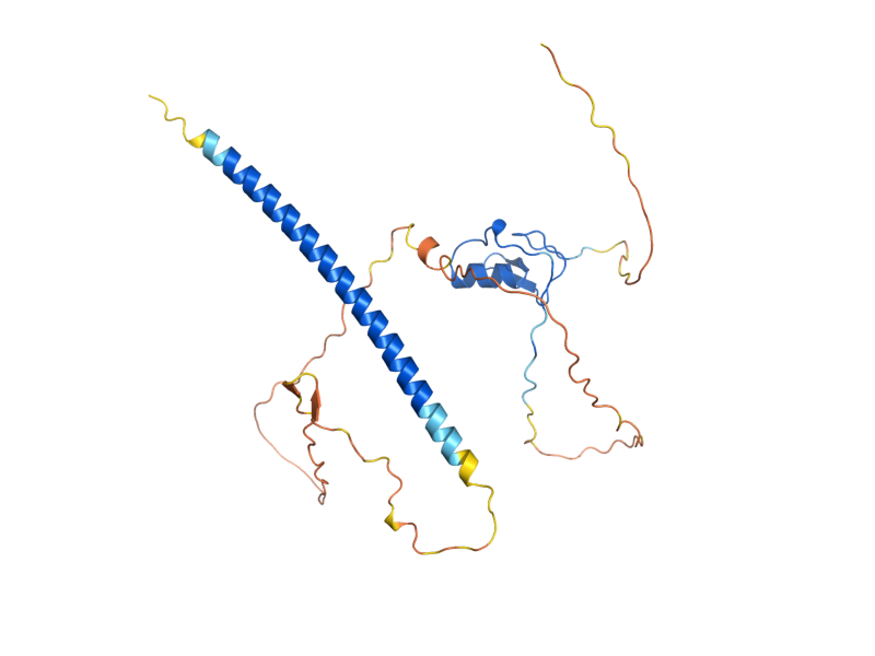 AlphaFold predicted structure of DAL80