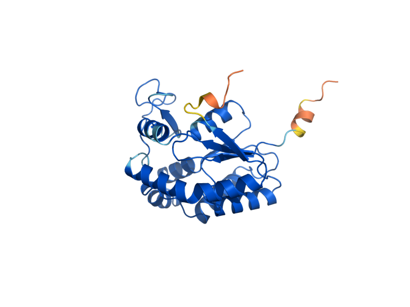 AlphaFold predicted structure of ADK2
