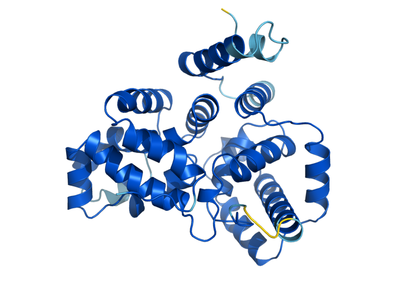 AlphaFold predicted structure of BUB2