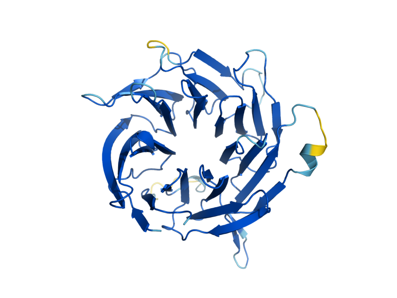 AlphaFold predicted structure of BUB3