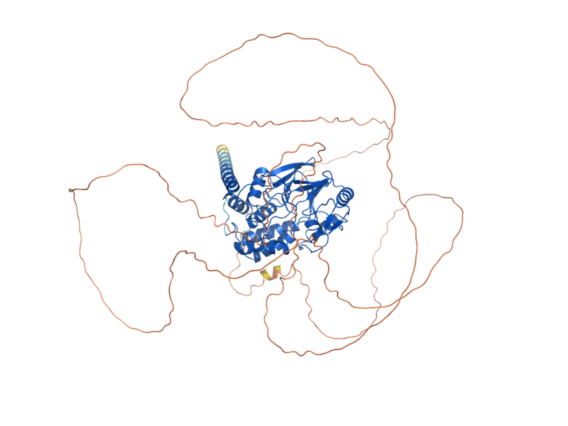 AlphaFold predicted structure of PPZ1