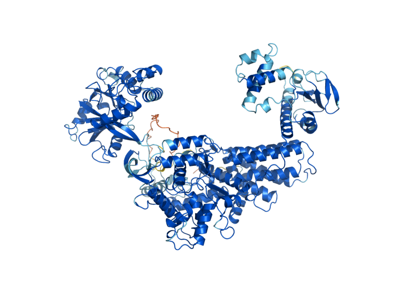 AlphaFold predicted structure of CDC60