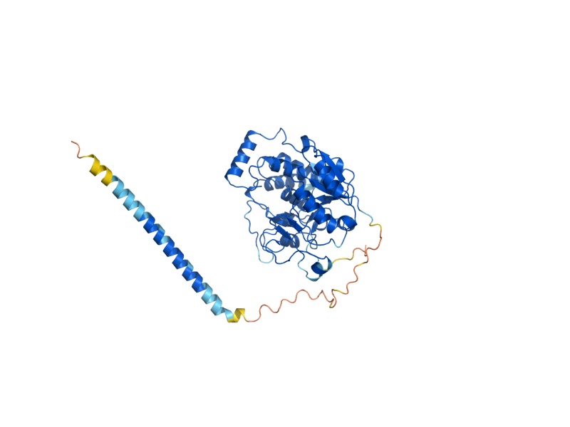 AlphaFold predicted structure of YUR1