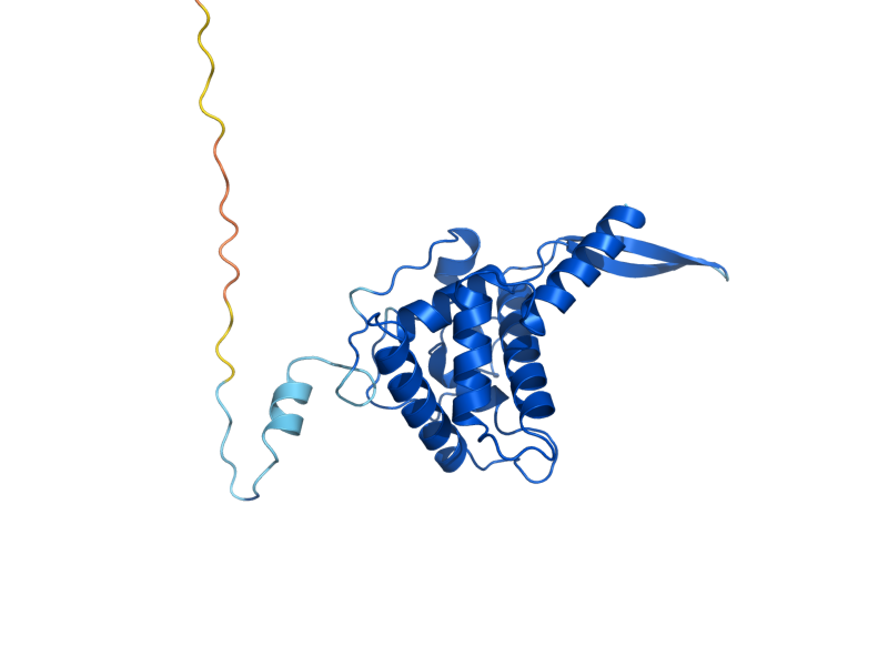 AlphaFold predicted structure of RPS5