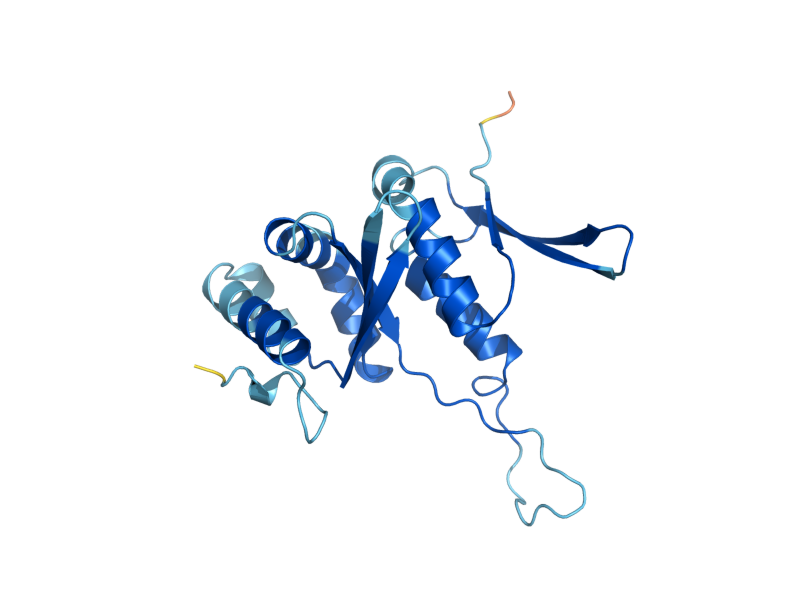 AlphaFold predicted structure of RPS7A