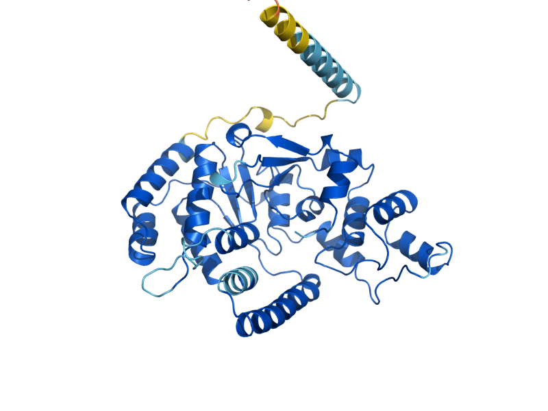 AlphaFold predicted structure of RAD27
