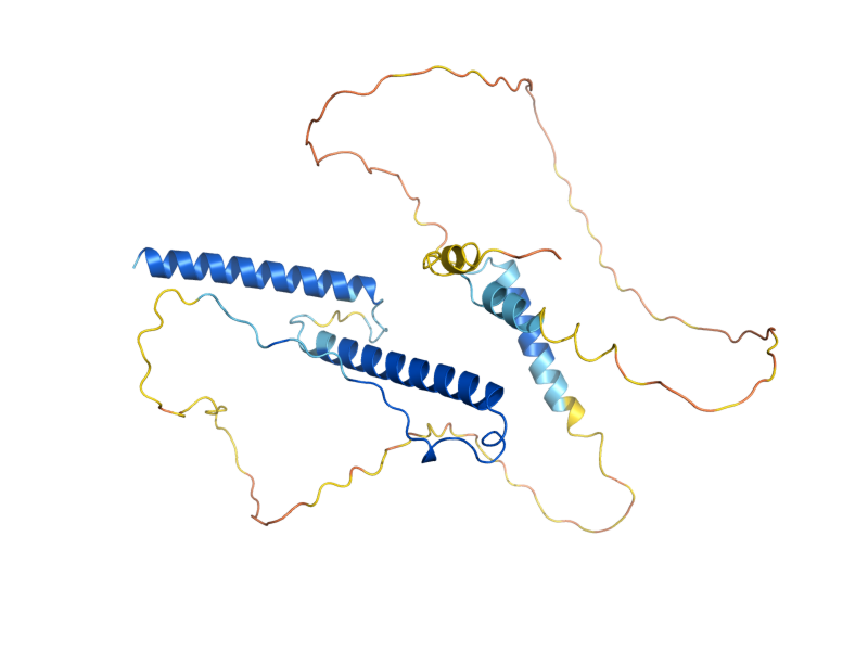 AlphaFold predicted structure of INO2
