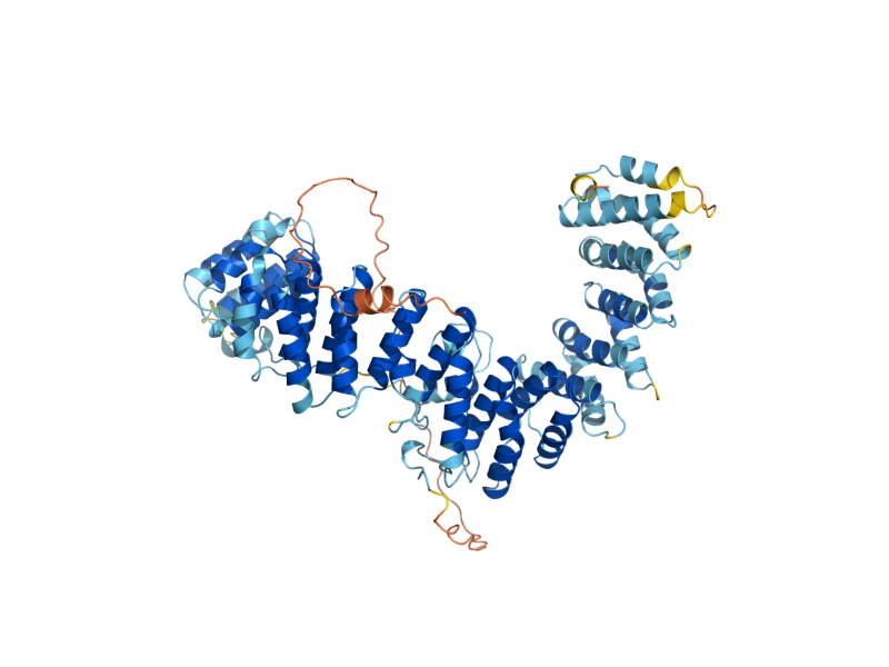 AlphaFold predicted structure of APL1