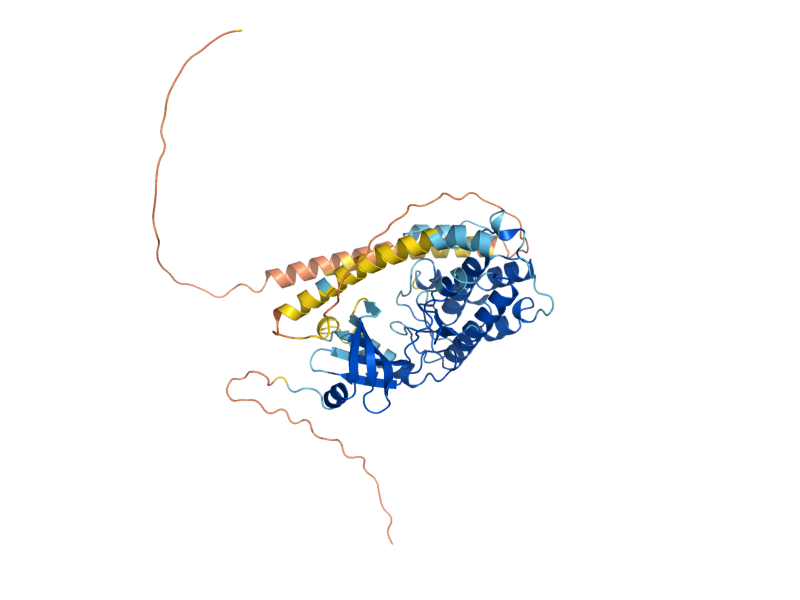 AlphaFold predicted structure of CMK1