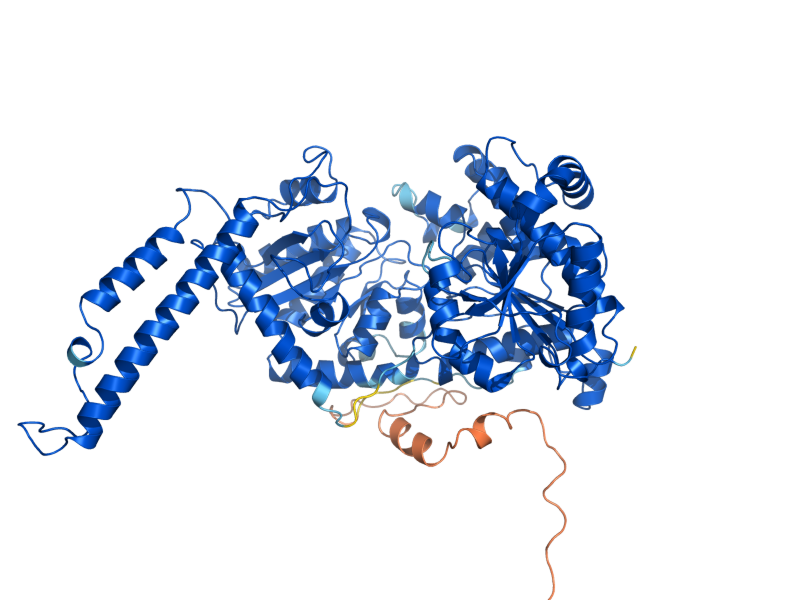 AlphaFold predicted structure of GSY2