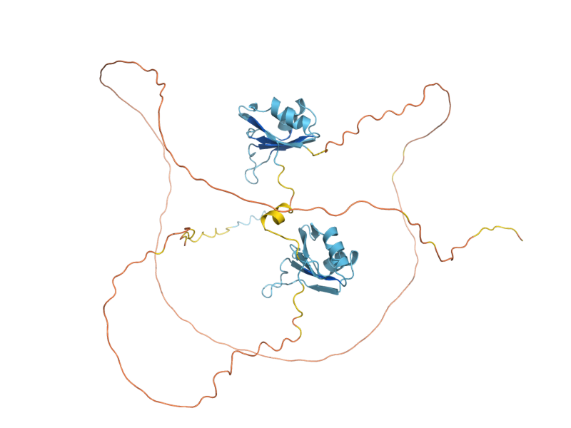 AlphaFold predicted structure of NSR1
